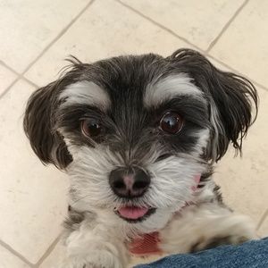 Meet your Posher, Melody